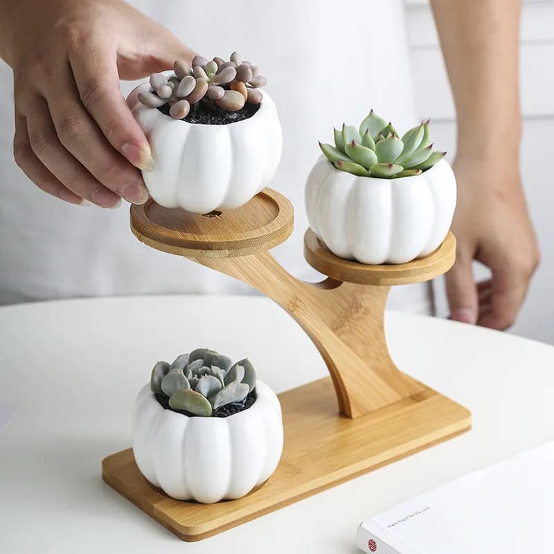 Zestaw doniczek ceramicznych sowa
