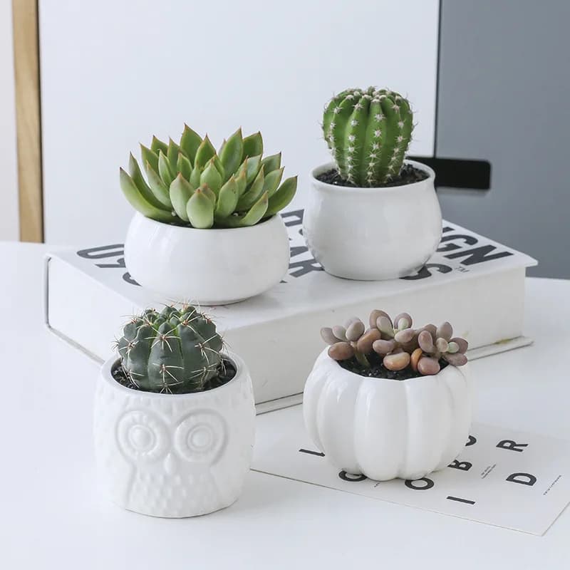 Zestaw doniczek ceramicznych sowa