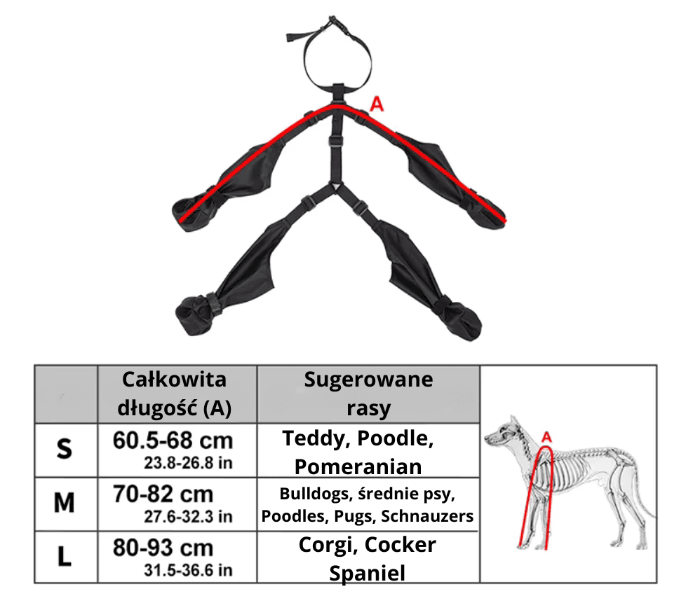 Wodoodporne Buty dla Psa – Regulowana i Komfortowa Ochrona Łap